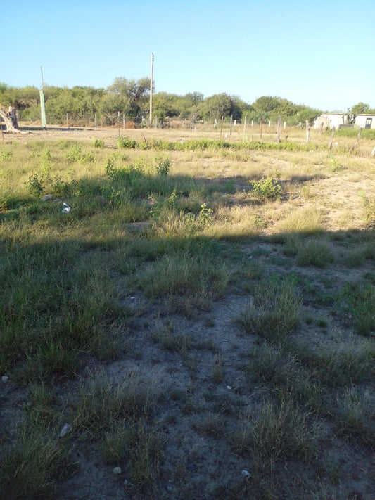 Mantenimiento de Huerto Familiar Por Un Año